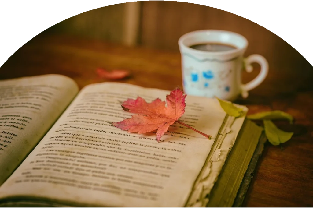 nauka angielskiego Paulina Chyl